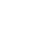 Institut für Digital Business